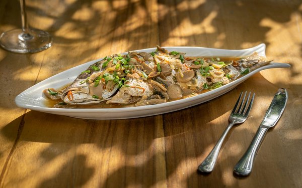 Essential Insights for Crafting Allergy-Safe Homemade Dog Food: A Pet Owner's Comprehensive Guide